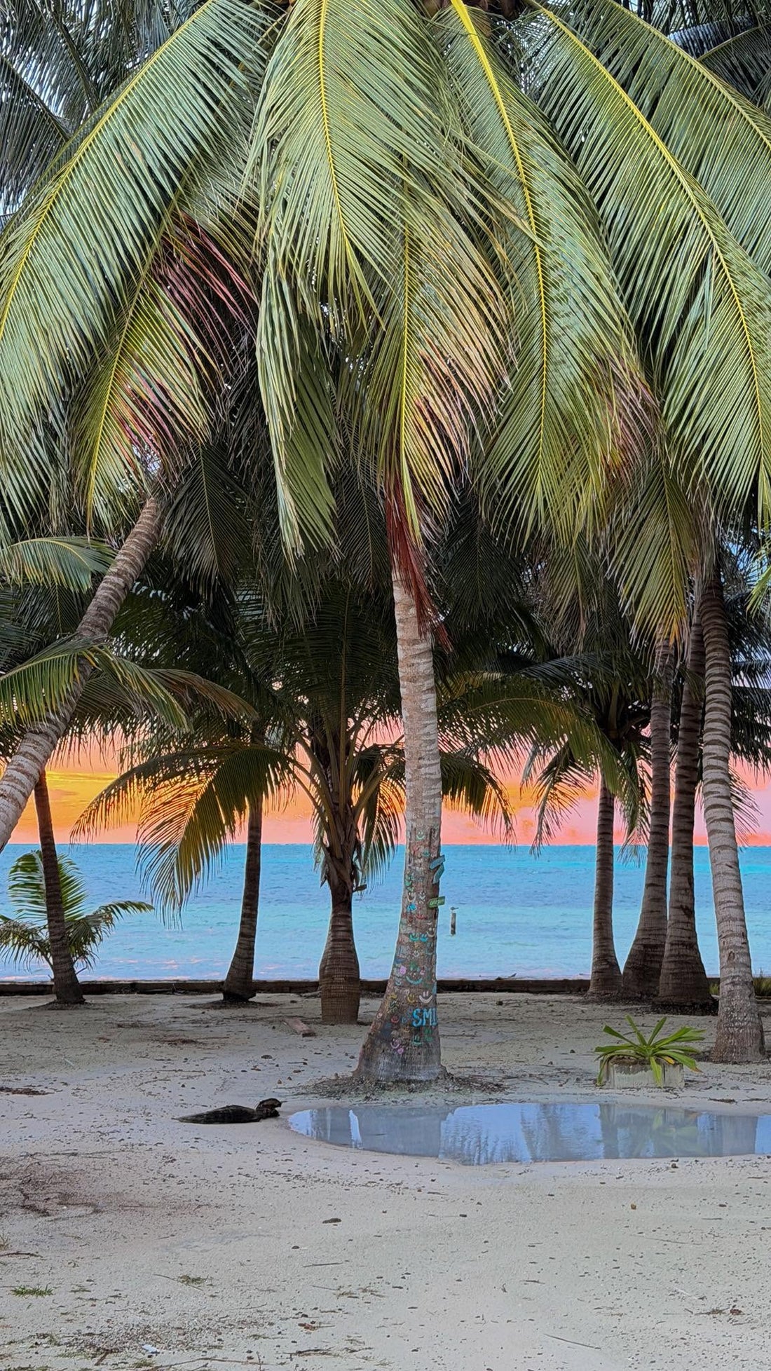 Belize - Tropical authentic culture