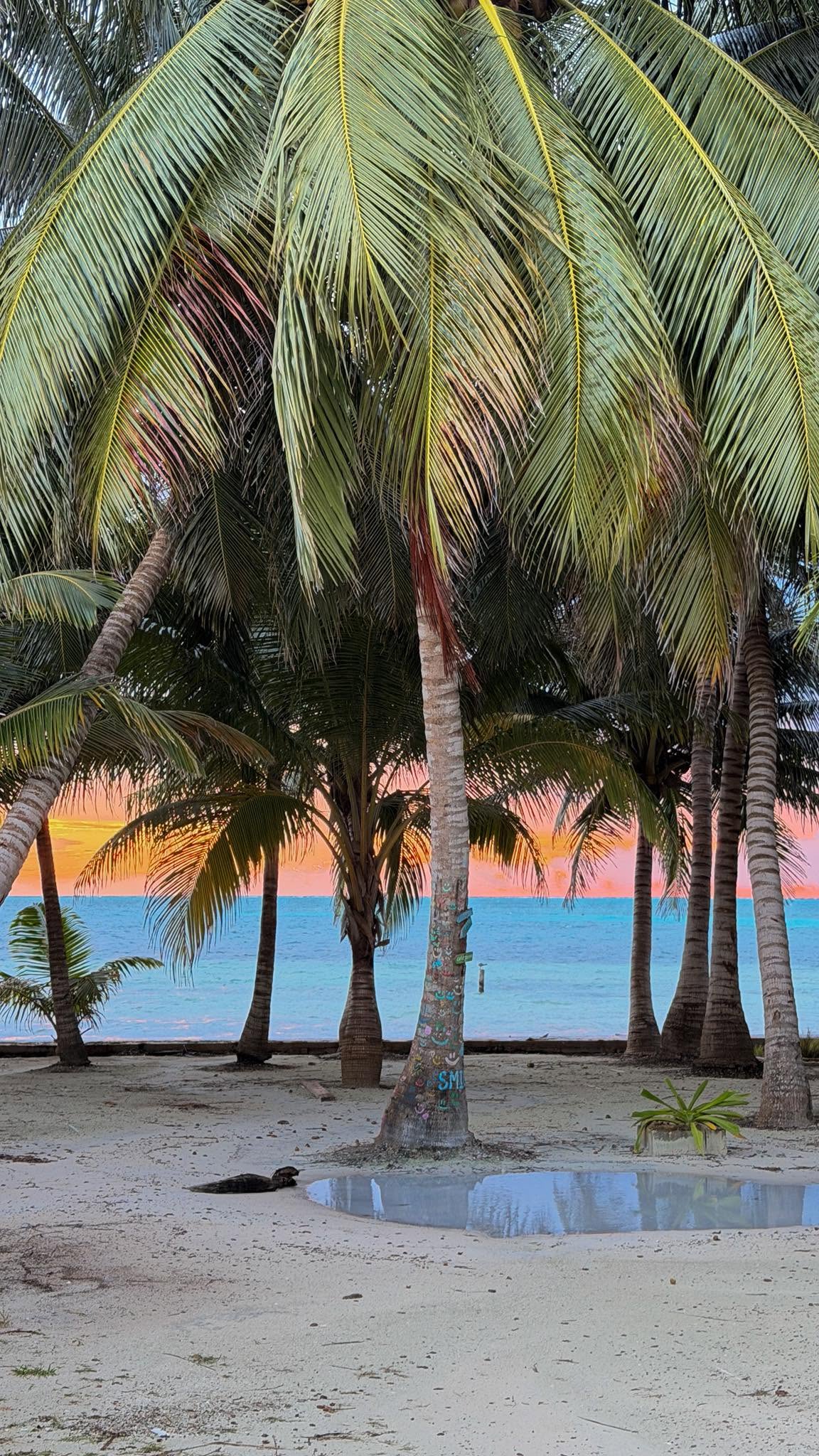 Belize - Tropical authentic culture